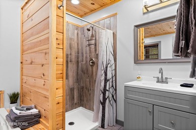 Welcome to your perfect mountain retreat in the heart of - photo 20