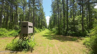 (private lake, pond, coastal) Acreage For Sale in Mount Olive Mississippi