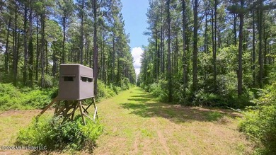 Additional listing photo 2