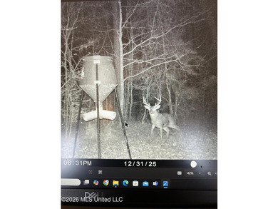 Additional listing photo 4