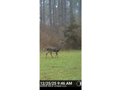 Set across 397 acres in Jefferson Davis County, Mississippi - photo 6