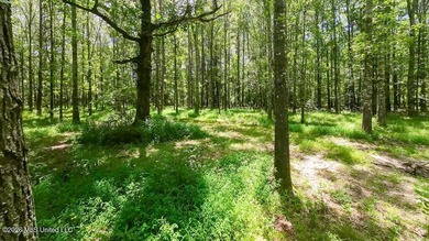 Set across 397 acres in Jefferson Davis County, Mississippi - photo 9