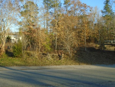 Lake Marion Lot For Sale in Manning South Carolina
