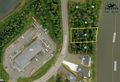 Lake Lot For Sale in Fairbanks, Alaska