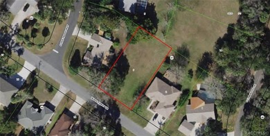 One of Nature Coast premier subdivisions just off the Homosassa - photo 1