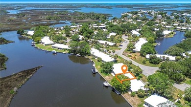 Boat Dock - CHECK!! Boat Lift - CHECK!! Sawgrass View - CHECK!! - photo 1