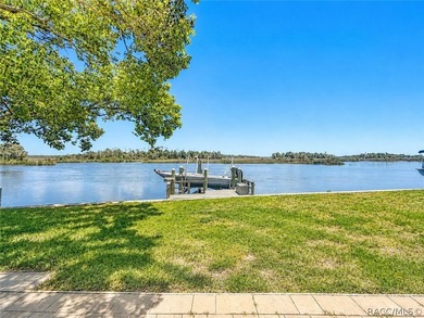 Boat Dock - CHECK!! Boat Lift - CHECK!! Sawgrass View - CHECK!! - photo 3