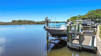Boat Dock - CHECK!! Boat Lift - CHECK!! Sawgrass View - CHECK!! - photo 4