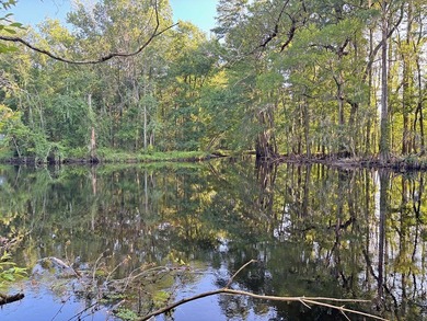 Little Pee Dee River Acreage For Sale in Dillon South Carolina