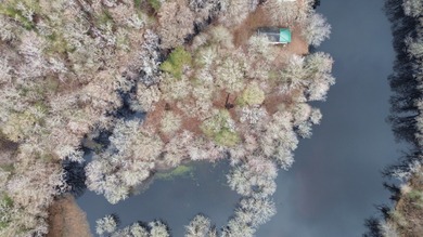 Little Pee Dee River Lot For Sale in Mullins South Carolina