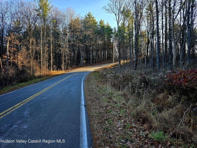 (private lake, pond, coastal) Acreage For Sale in New Baltimore New York