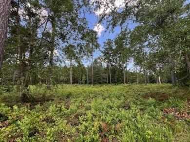 Lake Lot For Sale in Brunswick, Georgia