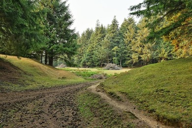 The majority of this wonderfully beautiful property is covered - photo 3