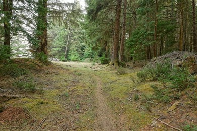 The majority of this wonderfully beautiful property is covered - photo 4