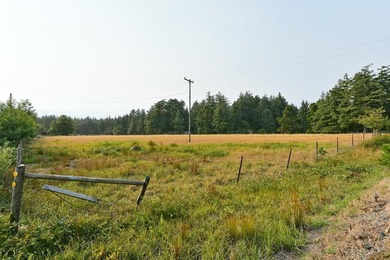 The majority of this wonderfully beautiful property is covered - photo 8
