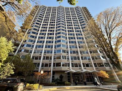 Lake Michigan - Cook County Condo For Sale in Chicago Illinois