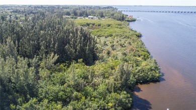 Own your own Island! The land is located just northeast of I75 - photo 3