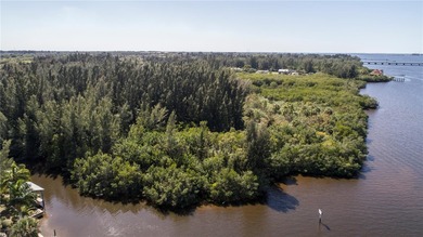 Own your own Island! The land is located just northeast of I75 - photo 4
