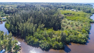 Own your own Island! The land is located just northeast of I75 - photo 5