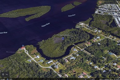 Own your own Island! The land is located just northeast of I75 - photo 6