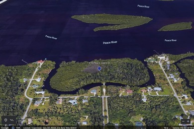 Own your own Island! The land is located just northeast of I75 - photo 8
