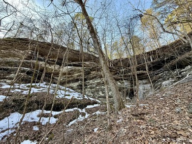 Discover a rare and breathtaking 88-acre tract along the - photo 11