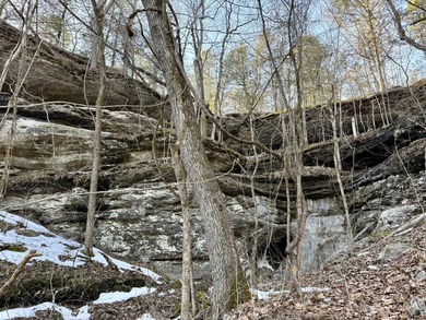 Discover a rare and breathtaking 88-acre tract along the - photo 12