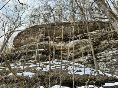 Discover a rare and breathtaking 88-acre tract along the - photo 13