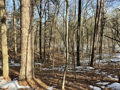 Discover a rare and breathtaking 88-acre tract along the - photo 15
