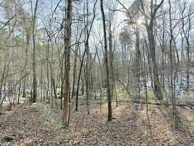 Discover a rare and breathtaking 88-acre tract along the - photo 16