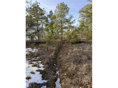 Discover a rare and breathtaking 88-acre tract along the - photo 17
