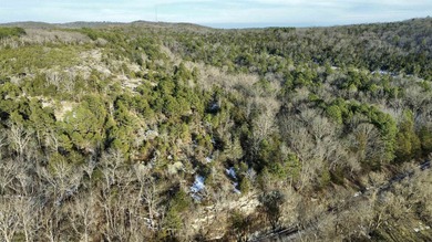 Discover a rare and breathtaking 88-acre tract along the - photo 19