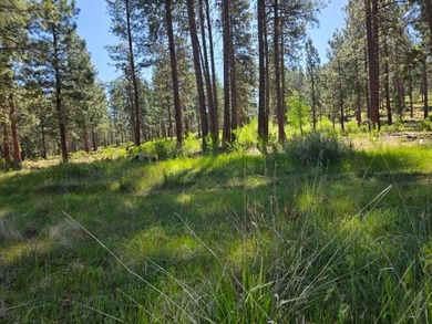 KIRCHER'S RANCH (Both Rivers are World-Class Blue Ribbon Trout - photo 3