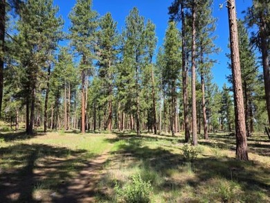 KIRCHER'S RANCH (Both Rivers are World-Class Blue Ribbon Trout - photo 8