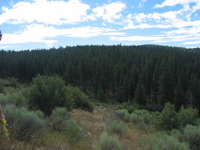 KIRCHER'S RANCH (Both Rivers are World-Class Blue Ribbon Trout - photo 9