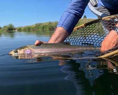 KIRCHER'S RANCH (Both Rivers are World-Class Blue Ribbon Trout - photo 10