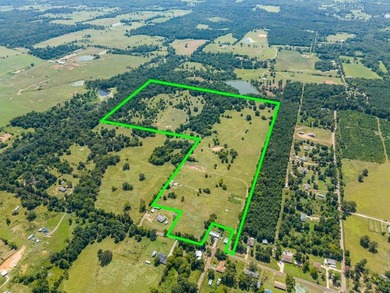 (private lake, pond, coastal) Acreage For Sale in Gilmer Texas