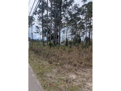 5421 Royal Palm Beach Blvd - photo 1