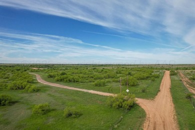 Greenbelt Lake Acreage For Sale in Clarendon Texas