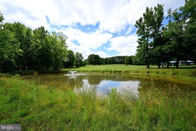 94-Acre Equestrian Estate & Event Venue Opportunity - Offered at - photo 8