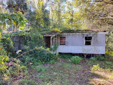 Lake Home For Sale in Silver Springs, Florida