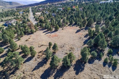 Topaz Lake Acreage For Sale in Gardnerville Nevada