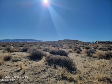 Lake Lahontan Acreage For Sale in Silver Springs Nevada
