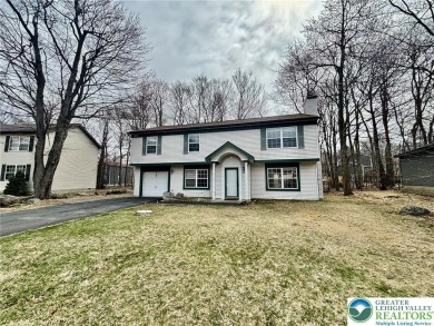 Lake Home For Sale in Coolbaugh Twp, Pennsylvania