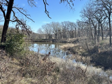 0.57 Acre Corner Lot on Wooded Ridge - Lake Lot For Sale in Streetman, Texas