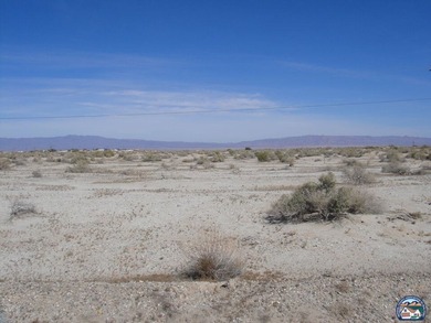 Located in Salton City. Views of both the Salton Sea and the - photo 11