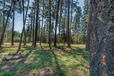 Flathead Lake Lot For Sale in Bigfork Montana