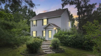 Lake Home For Sale in Central Lake, Michigan