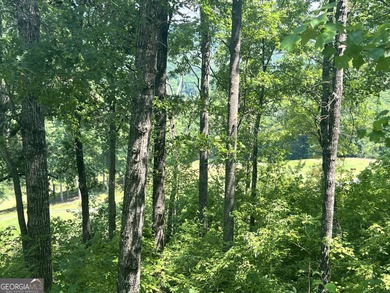 Located in the beautiful Waterfall Club at Lake Burton - Lot J - photo 2