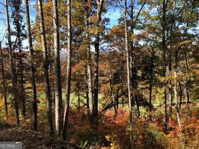 Located in the beautiful Waterfall Club at Lake Burton - Lot J - photo 5